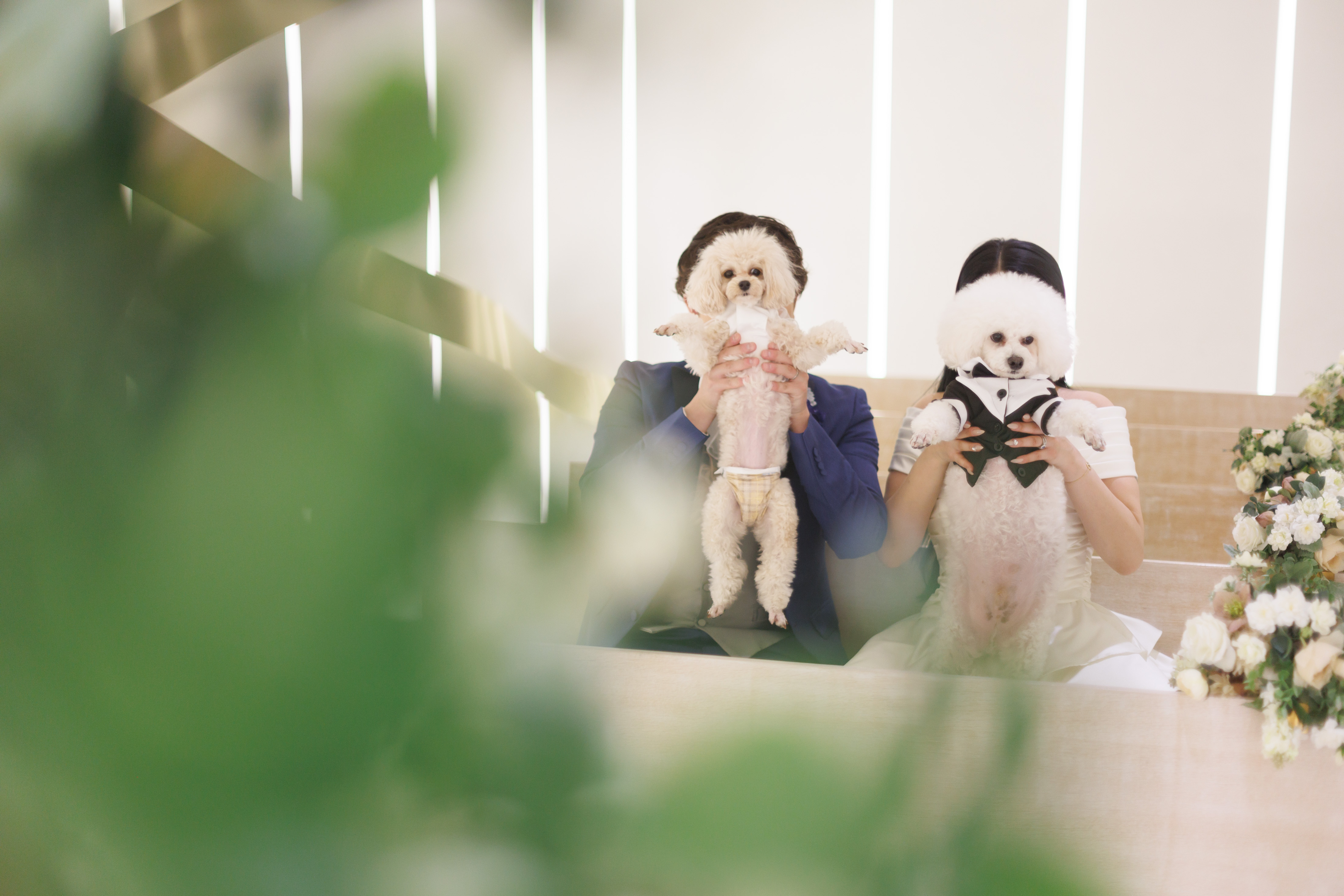 ペットと新郎新婦お二人だけの結婚式をご紹介?(挙式後・アフタースナップ撮影)